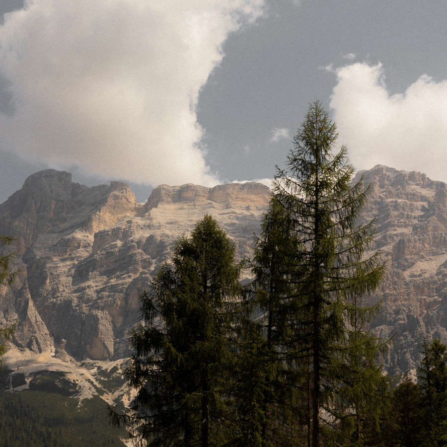 Sportony Mountain Lodges